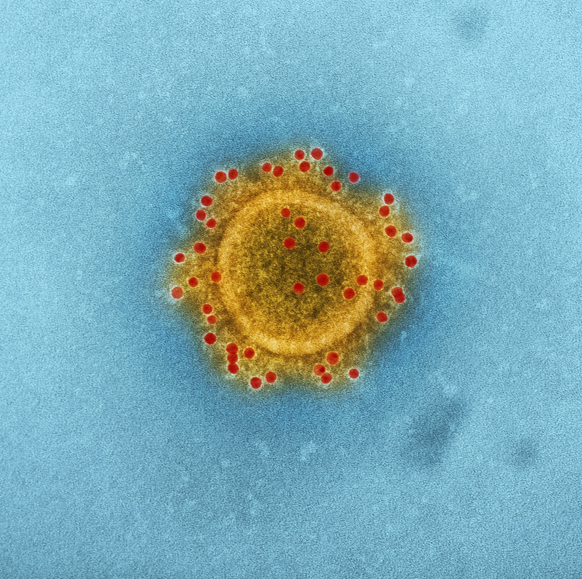 Disease Management